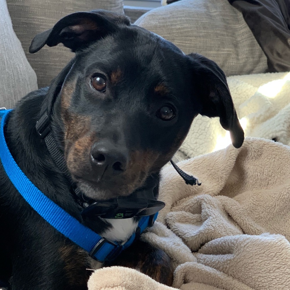 Meet your Posher, Pam